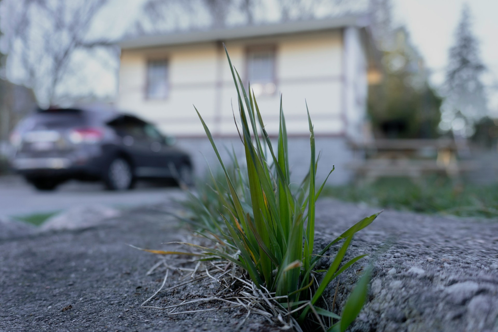 Photo de Mahesh Reddy sur Unsplash Une directive européenne sur la protection des sols enfin votée !