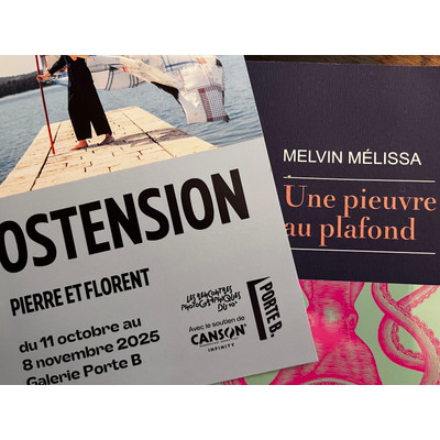 Melvin Mélissa Une pieuvre au plafond (Ed. Rivages) //Pierre et Florent Ostension (rencontres photographiques Paris Xe) episode artwork