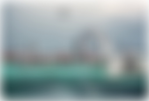 La Voix de son Maître #1 | Les dauphins militaires...