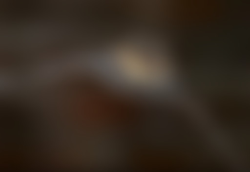 InSitu#9-Les chauves souris face à la pollution lu...