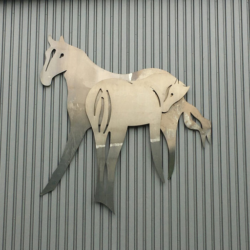 Épisode 37°2 / Damien, le fer et le cheval de l'émission Trente-sept Deux