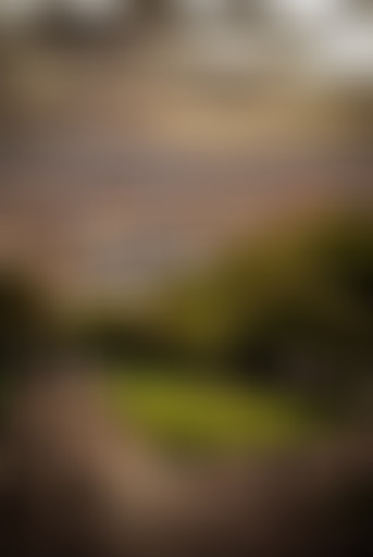 "Passages à l'Antenne" - Seyni