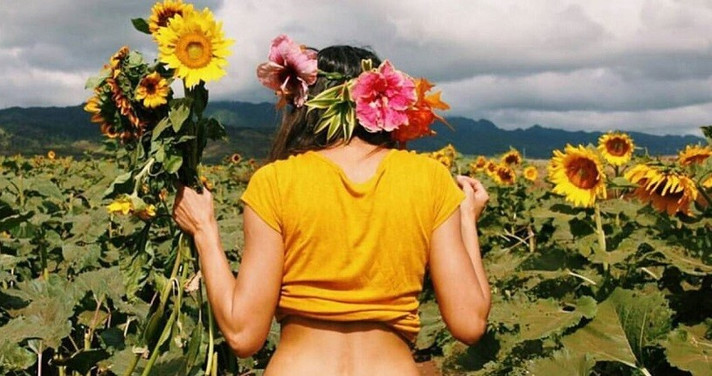 Épisode Novorama : Festivals Été 2017 (2ème partie) de l'émission Novorama