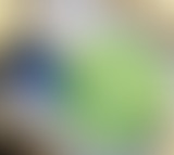 Têtes de Vainqueurs – Sport et politique