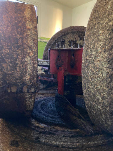 Carnet sonore : Le son du moulin à huile d'olive