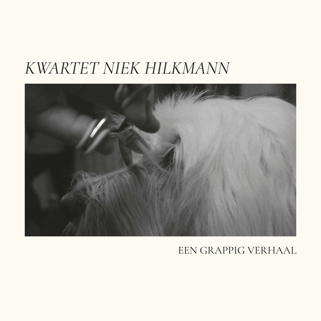 Een Grappig Verhaal