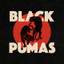 Black Pumas • Black Moon Rising