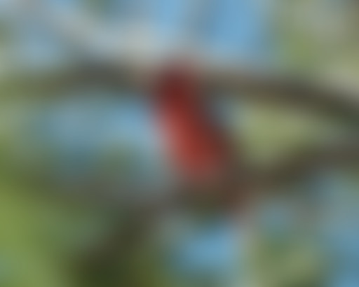 Planisphère : 13 – Musiques acousmatiques