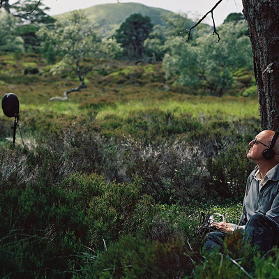 Amplitudes : Field recording episode artwork