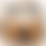 Bam Salute Show : Jah Ziek