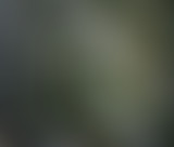 La relève + de jardin dans les villes avec H. Meun...