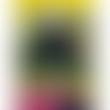 Sortir de Prison // Episode 3 : Aller au travail