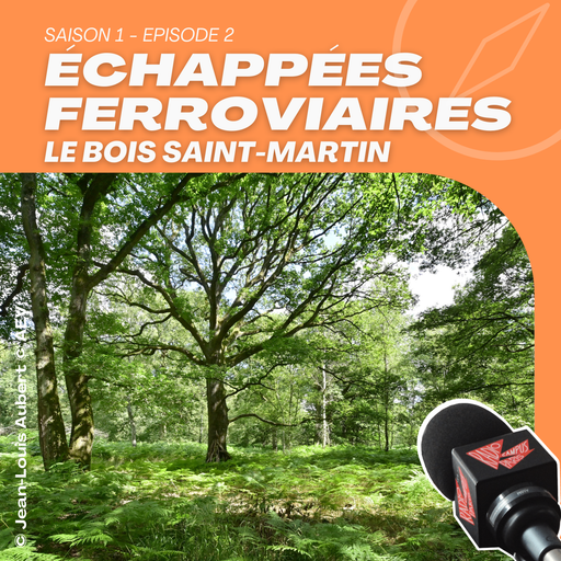 Épisode S1 EP02 LE BOIS SAINT-MARTIN, UNE FORÊT MÉCONNUE A... de l'émission Échappées Ferroviaires