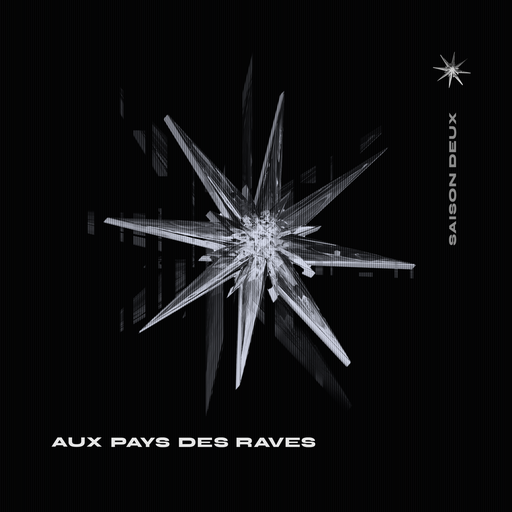 Épisode Épisode 9 - Quand la Fête se heurte à ses contradi... de l'émission Aux pays des raves