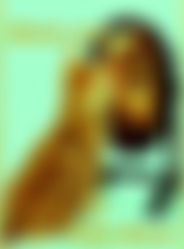 Mercredi ! Miroir, mon beau miroir