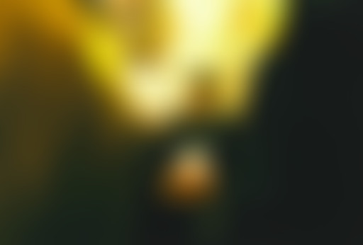 Drugstore Melodies#3 La Nuit