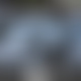 La Séance du dimanche H.S. #2 : Les étoiles du doc...