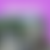 TERRES DU VAL DE LOIRE, UNE VALLÉE ROYALE #1