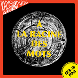 Episode 7 : Festival et Ecologie