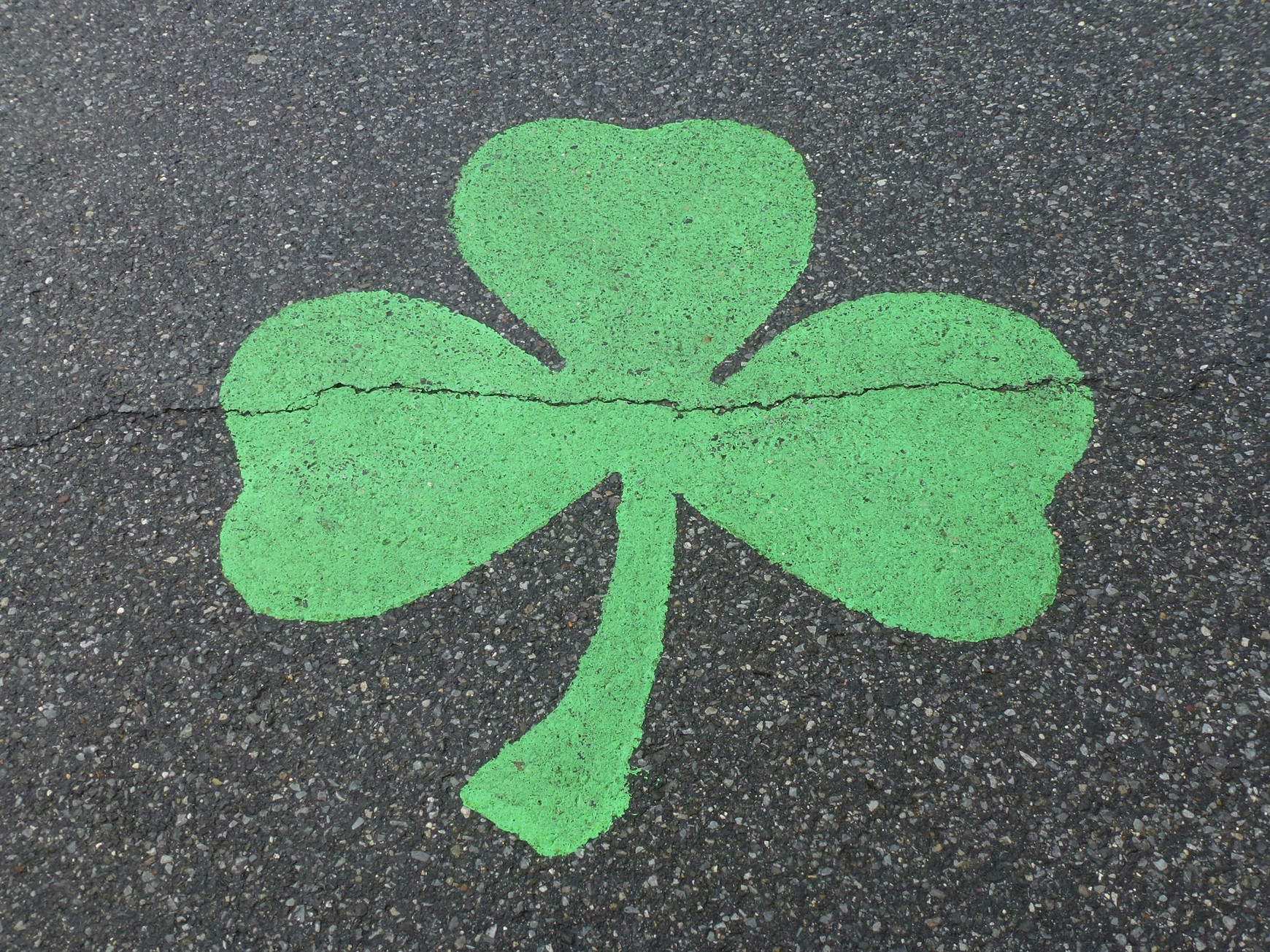 Photo de Ann sur Unsplash Érin, toujours Verte !