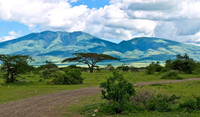 Rendez-vous au Musée d'Olduvai en Tanzanie
