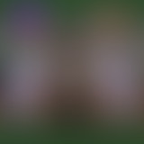 Good Morning Vietnam, la musique contre la guerre