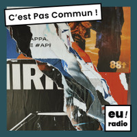 Quand l’art rencontre la sociologie, avec Yaël Kreplak - C'est pas commun ! #45