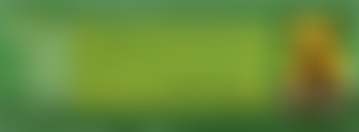 Bam Salute special Bagnols Reggae Festival