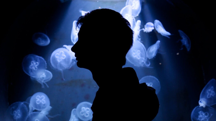 Épisode La Souterraine : Hyacinthe DFHDGB de l'émission La Souterraine Radio - STRN Radio