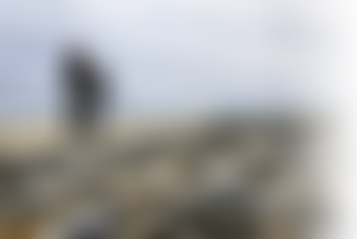 Prenez-en de la graine - S'engager pour le DD