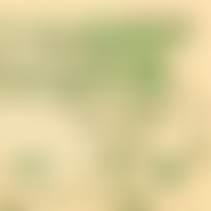 Rien A Voir Avec Du Jazz