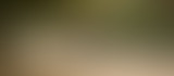Radio Camping : spéciale pétanque au BarOurcq