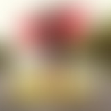 Proxima : Flavia Coelho