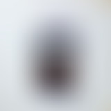 Requiem Pour Un Twister: Les Fleur