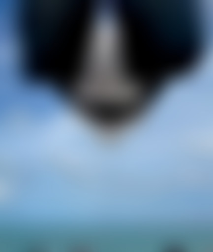 Pièces Détachées : La poésie comme moyen de révolt...