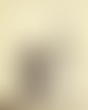 Nos ancêtres face aux fossiles