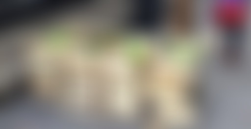 Les Légumes du Potager s'invitent à l'Université