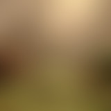 Amplitudes : Le Mix #15 - Tartine mix