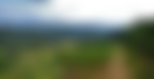 Mappemonde : La diagonale du vide