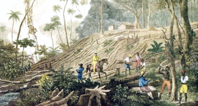 Épisode Les Labos de l'Histoire : L'histoire environnement... de l'émission Les labos de l'histoire