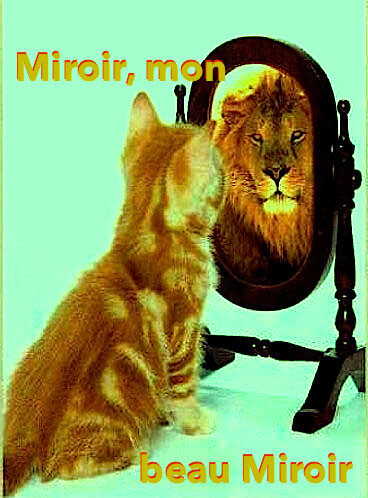 Épisode Mercredi ! Miroir, mon beau miroir de l'émission Mercredi !