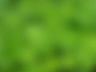 La Matinale du 05/02/15 - Cannabis et Patrimoine d...