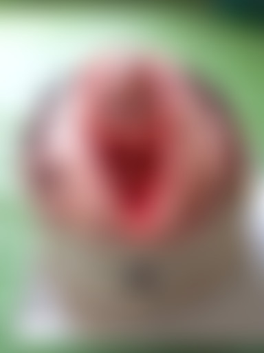 JOYEUX CHABLIVERSAIRE RICHARD