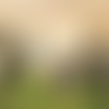 Amplitudes : Le grand air