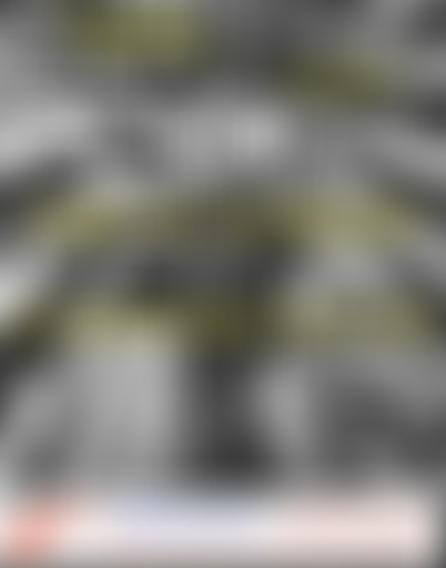 Tropical Club : plage #3