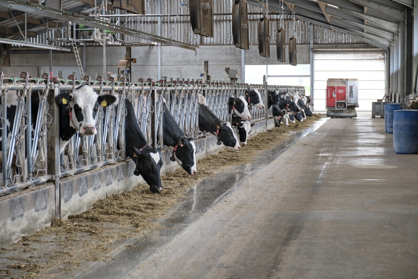 L'agriculture européenne, et française notamment, pourrait être menacée par l'ouverture du marché aux pays exportateurs d'Amérique du sud (CE - service audiovisuel) Mercosur : la France dit non