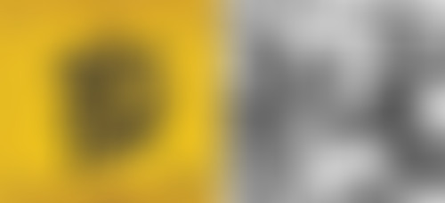 Bam Salute special Pad Anthony