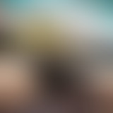 Vespamplitudes : Mode Balek³