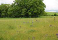 À la lisière de la Bourgogne et de la Champagne, le Parc national de forêts protège les prairies