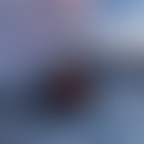 Amplitudes : Température